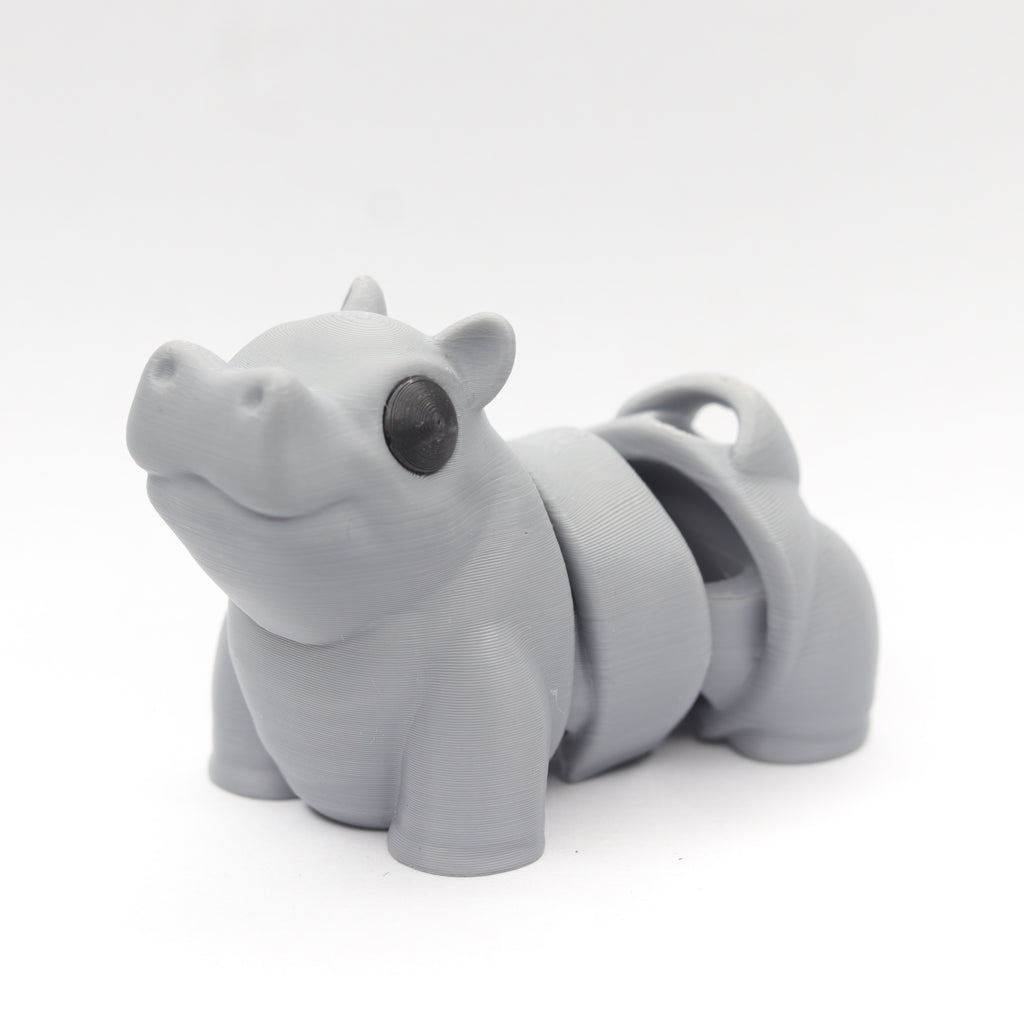 Hipendra – The Relaxed Hippo