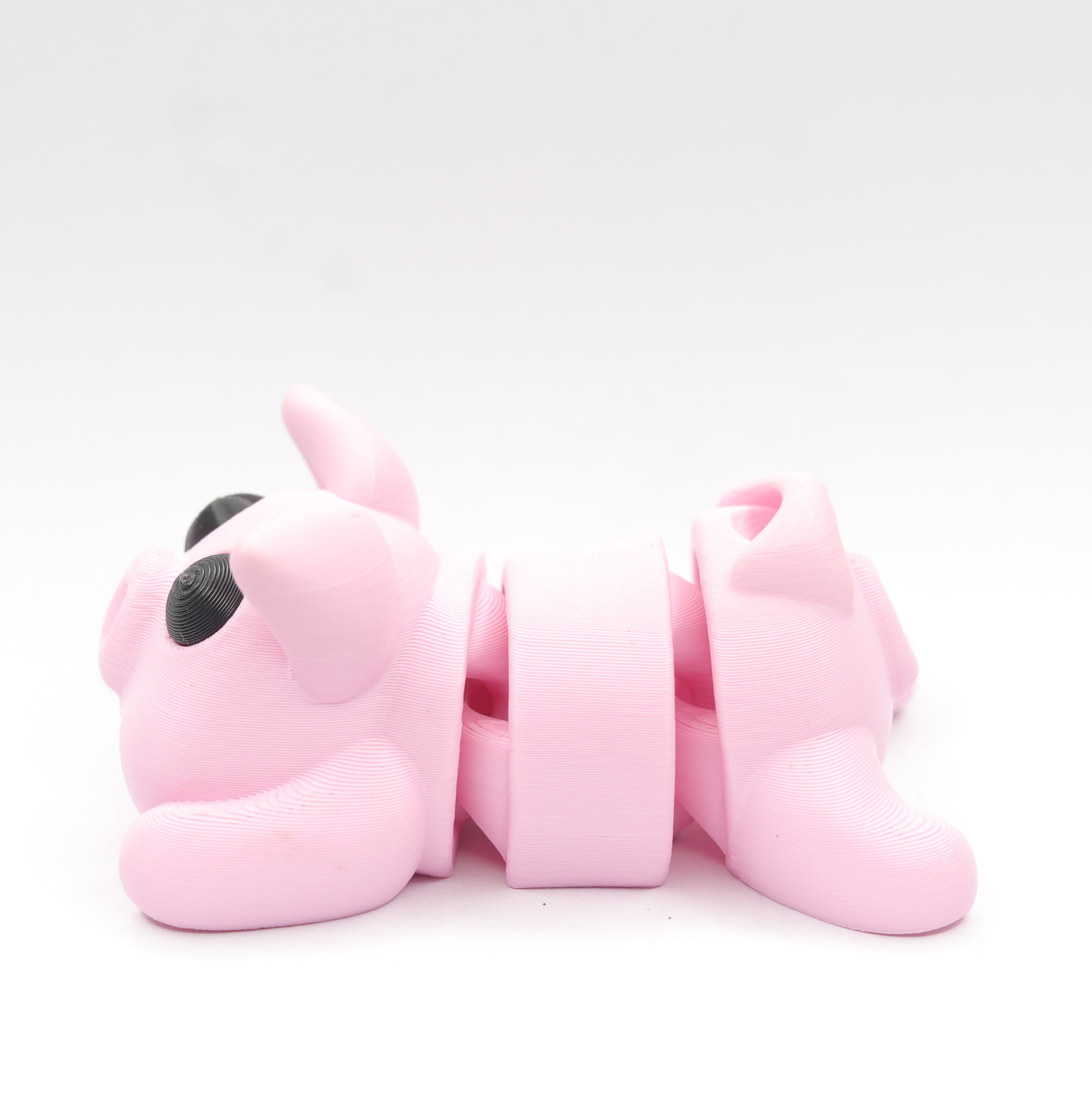 Piggesh – The Happiest Pig