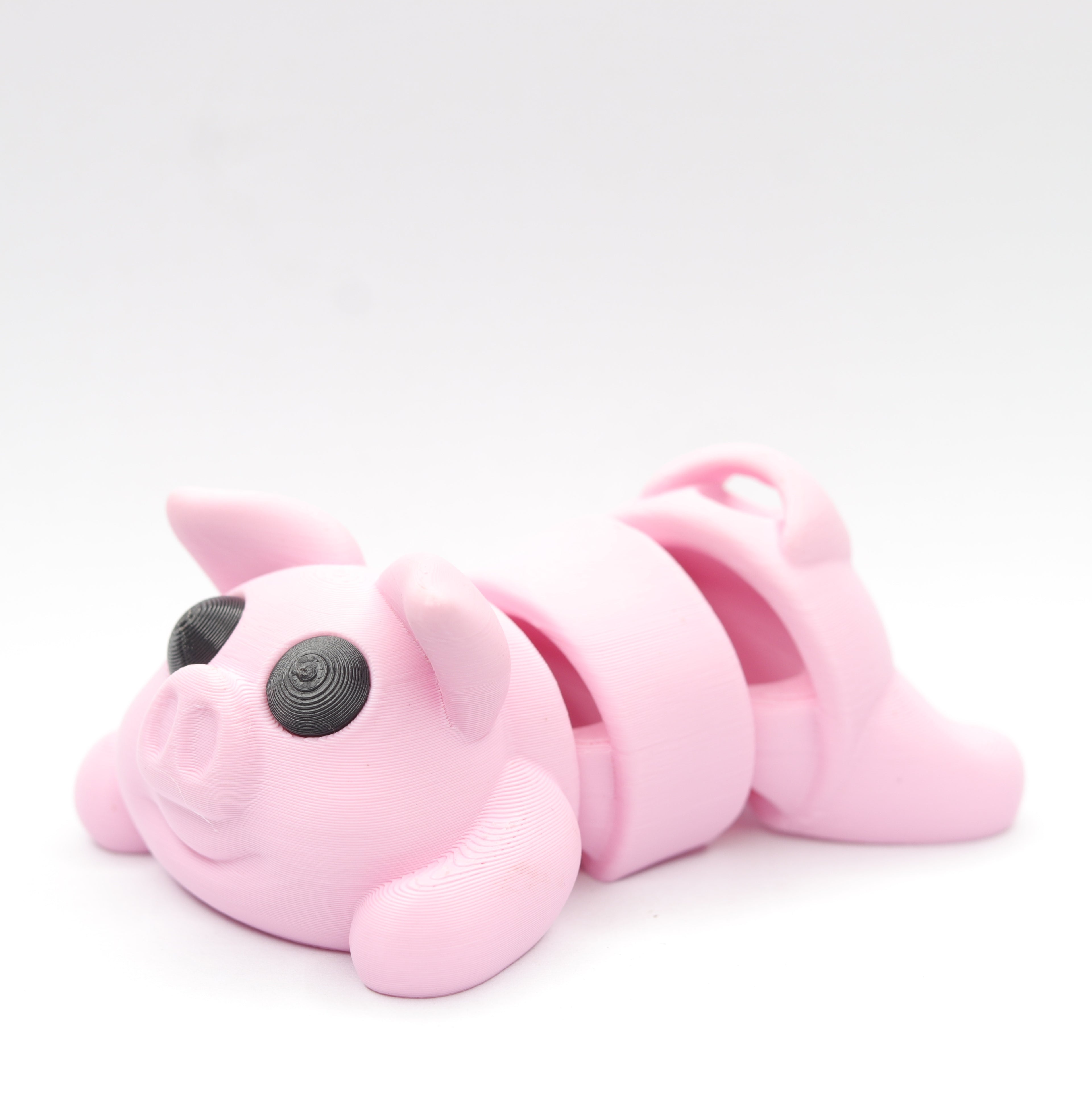 Piggesh – The Happiest Pig